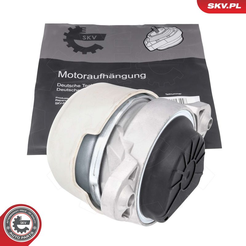 Paigutus, Mootor, ESEN SKV 75SKV297