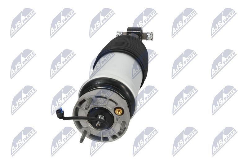 Amort, NTY A-CH-098