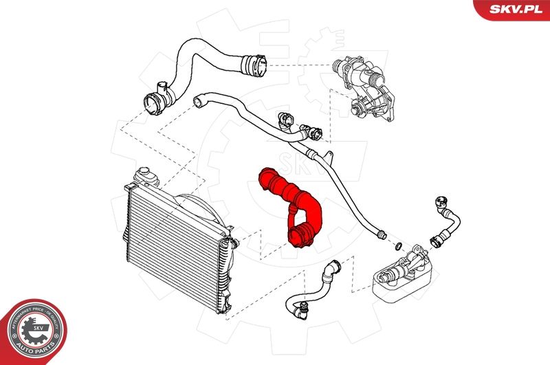 Шланг радіатора, Skv Germany 24SKV242