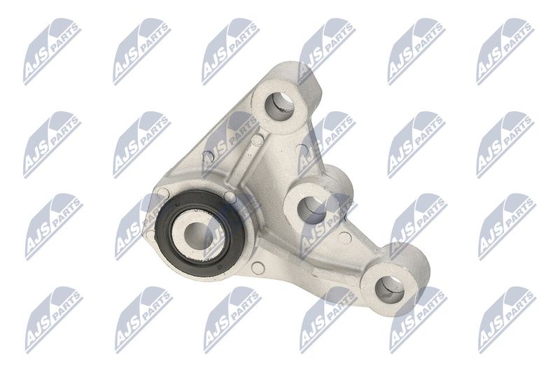 Paigutus, Mootor, NTY ZPS-CH-121