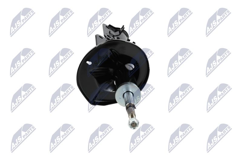 Amort, NTY A-CH-053
