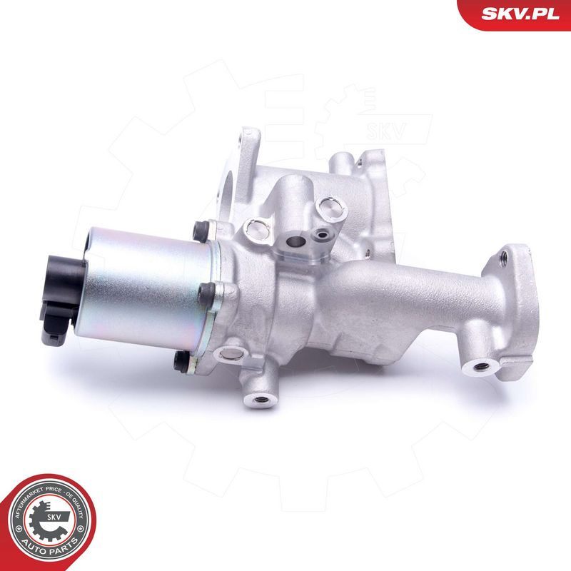 EGR-klapp, ESEN SKV 14SKV167