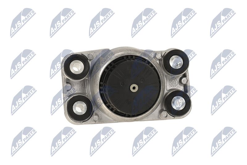 Paigutus, Mootor, NTY ZPS-LR-006