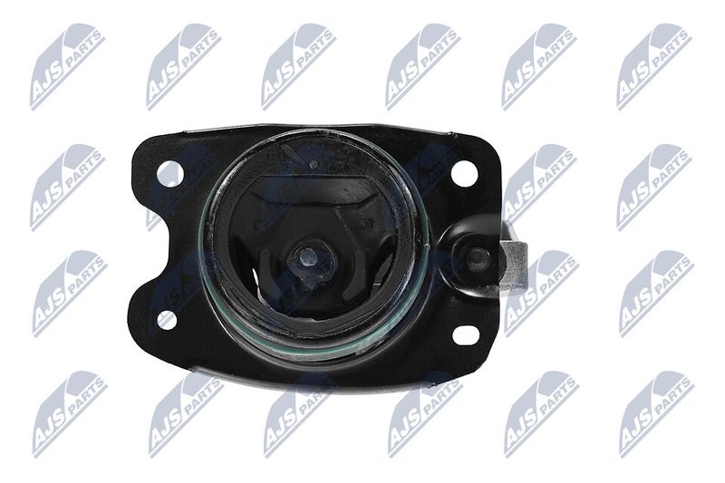 Paigutus, Mootor, NTY ZPS-CH-147