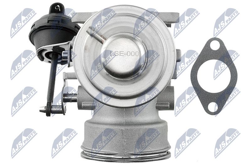 EGR-klapp, NTY EGR-SE-000