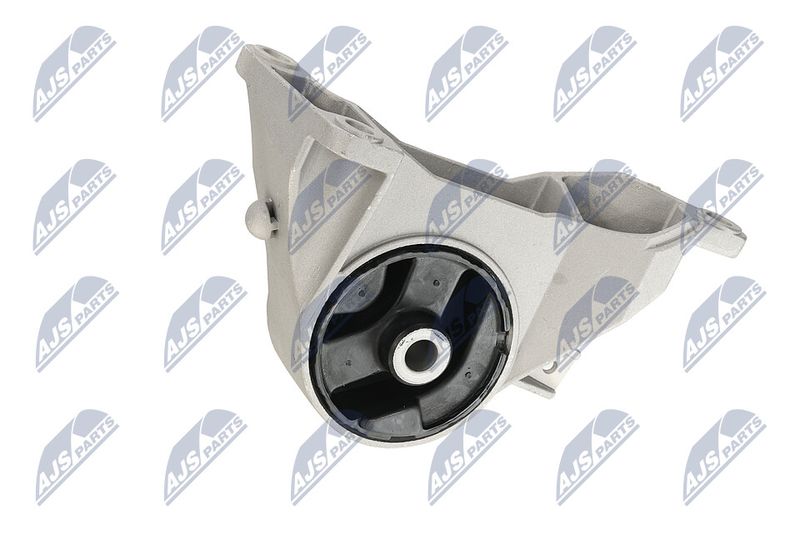 Paigutus, Mootor, NTY ZPS-PL-039