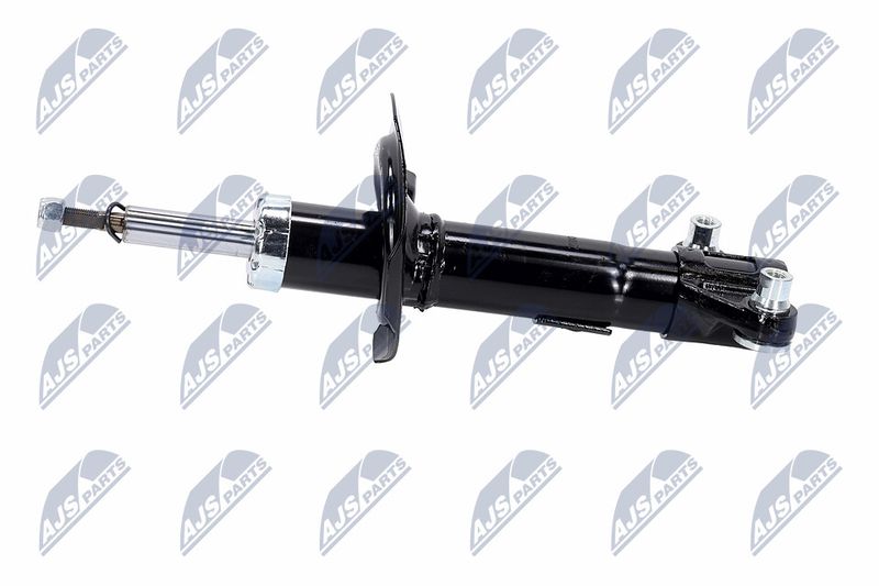 Amort, NTY A-NS-016