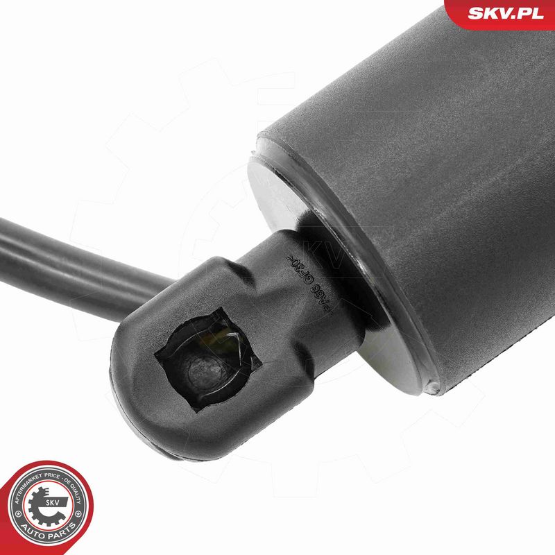 ESEN SKV 52SKV175 Electric Motor, tailgate