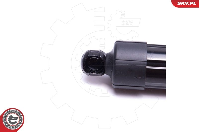 ESEN SKV 52SKV919 Electric Motor, tailgate
