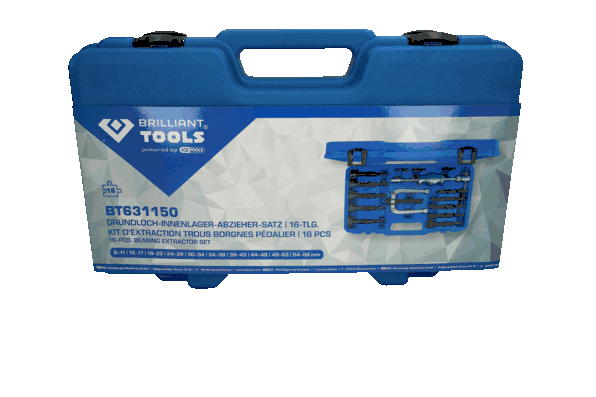 KS TOOLS BT631150 Internal Extractor Set