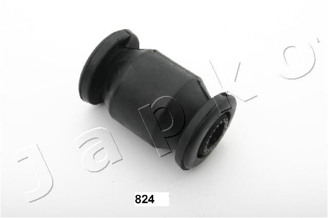 GOJ824_1.JPG