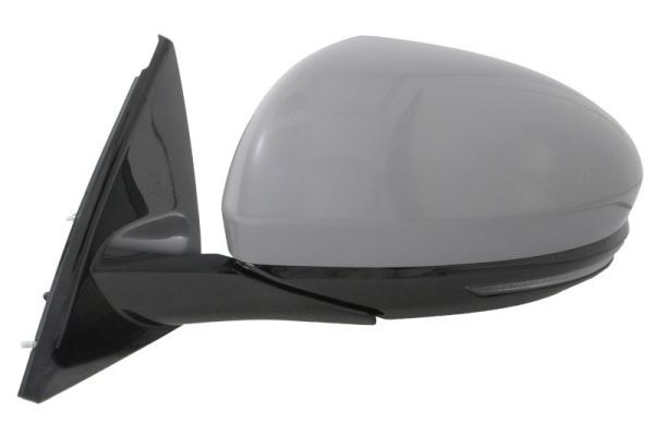 BLIC 5402-09-1243314P Exterior Mirror