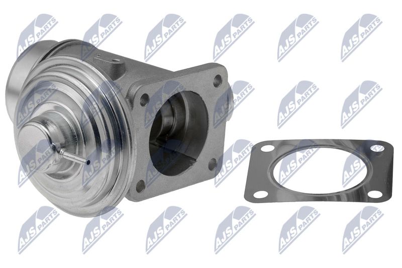 EGR-BM-007_2-WM.JPG