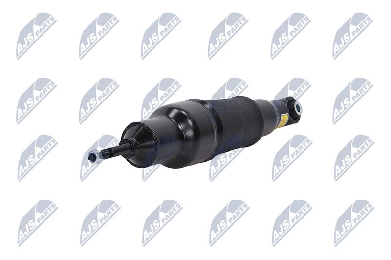 Amort, NTY A-NS-051