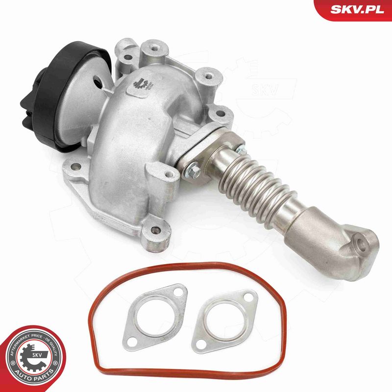 ESEN SKV 14SKV257 EGR Valve