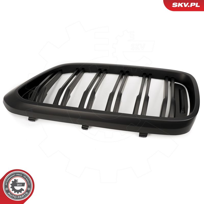 Radiaatorivõre, ESEN SKV 66SKV211