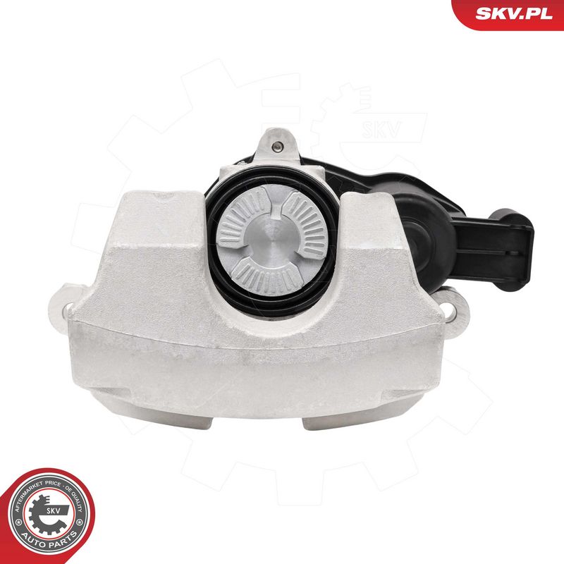 Pidurisadul, ESEN SKV 74SKV803