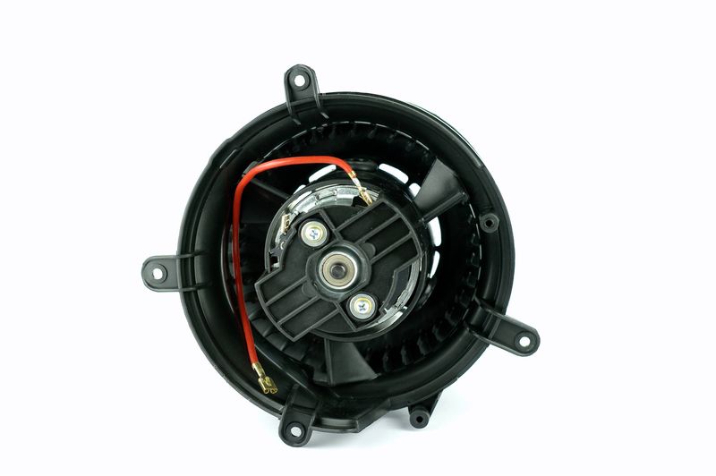 Salongipuhur, NISSENS 87152