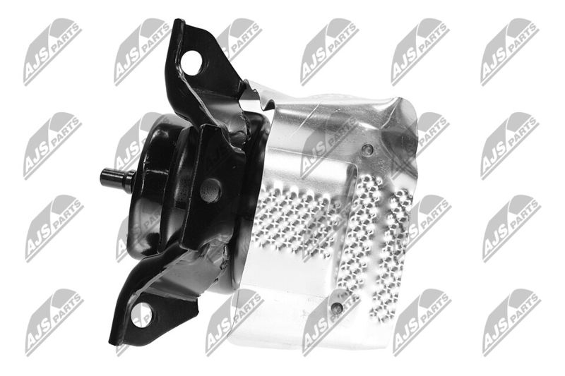 Paigutus, Mootor, NTY ZPS-CH-150