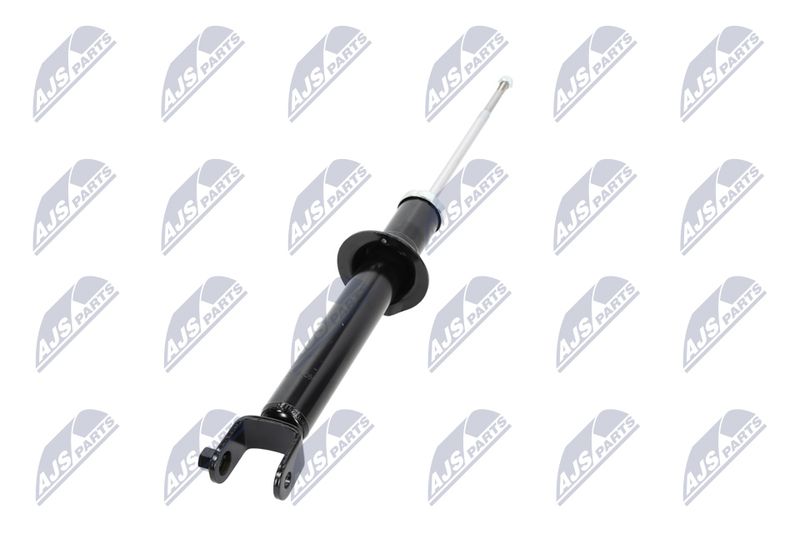 Amort, NTY A-CH-055