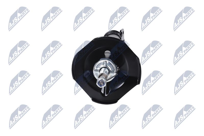 Amort, NTY A-TY-097