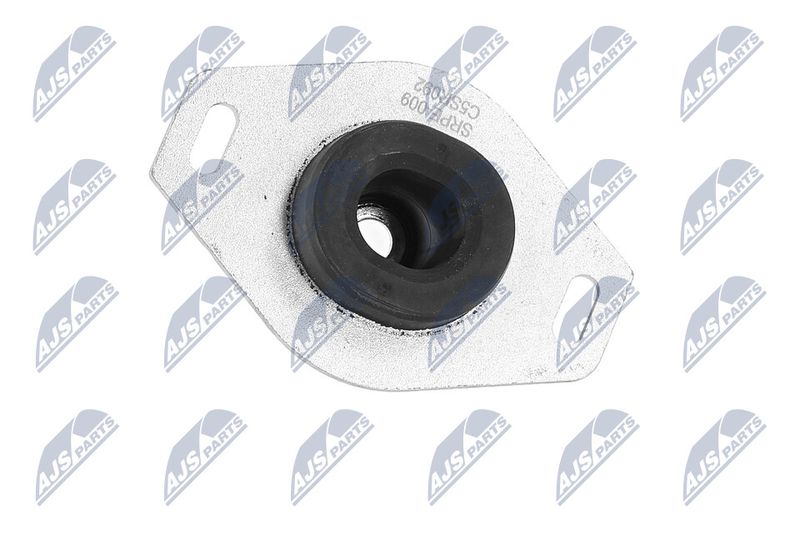 Paigutus, Mootor, NTY ZPS-PE-009