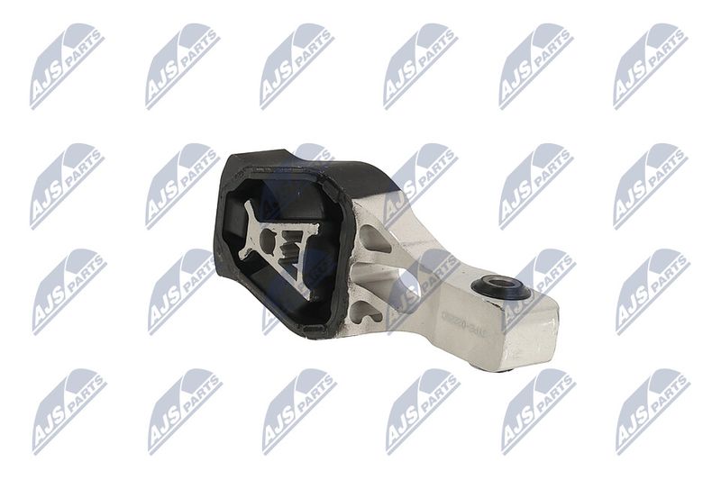 Paigutus, Mootor, NTY ZPS-PE-022