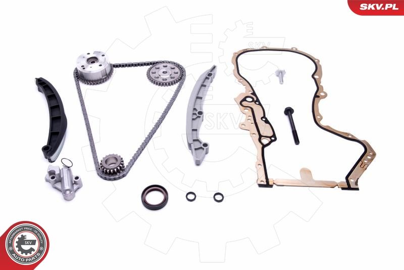 ESEN SKV 21SKV234 Timing Chain Kit