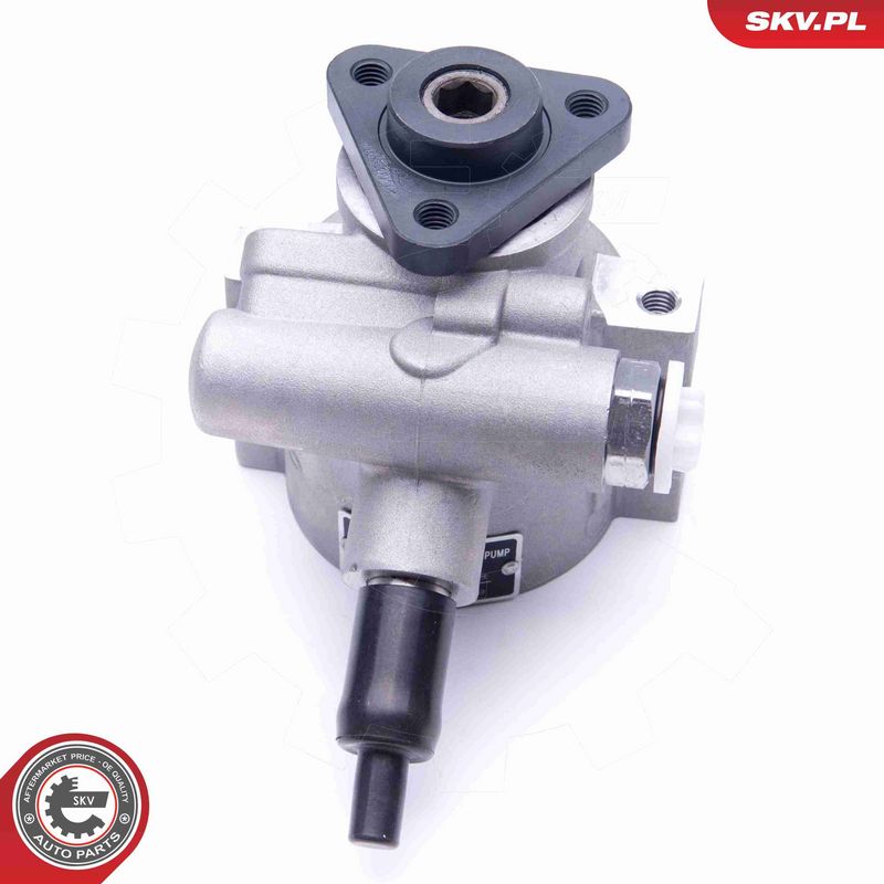 ESEN SKV 10SKV258 Hydraulic Pump, steering