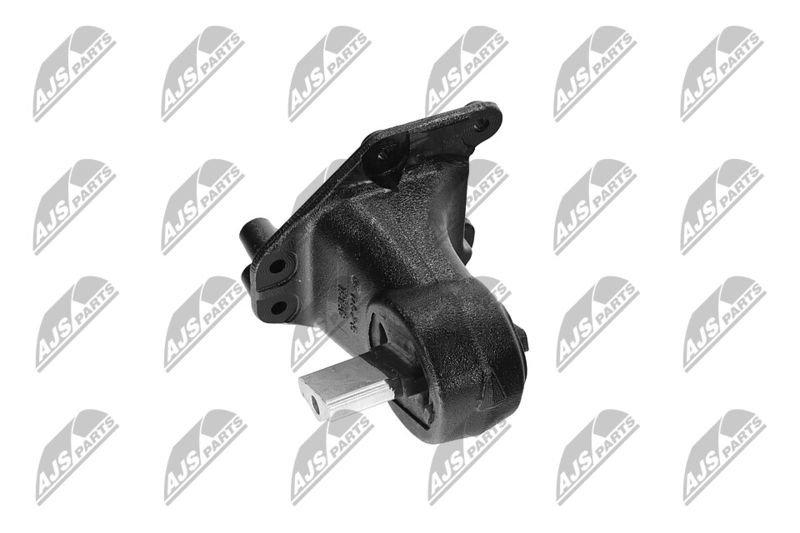 Paigutus, Mootor, NTY ZPS-CH-173