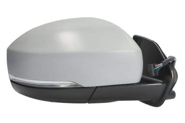 BLIC 5402-57-0697311P Exterior Mirror