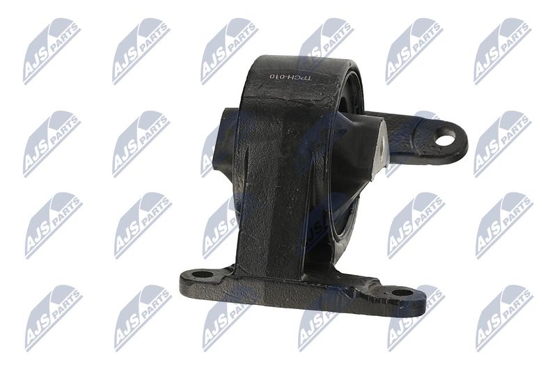 Paigutus, Mootor, NTY ZPS-CH-043