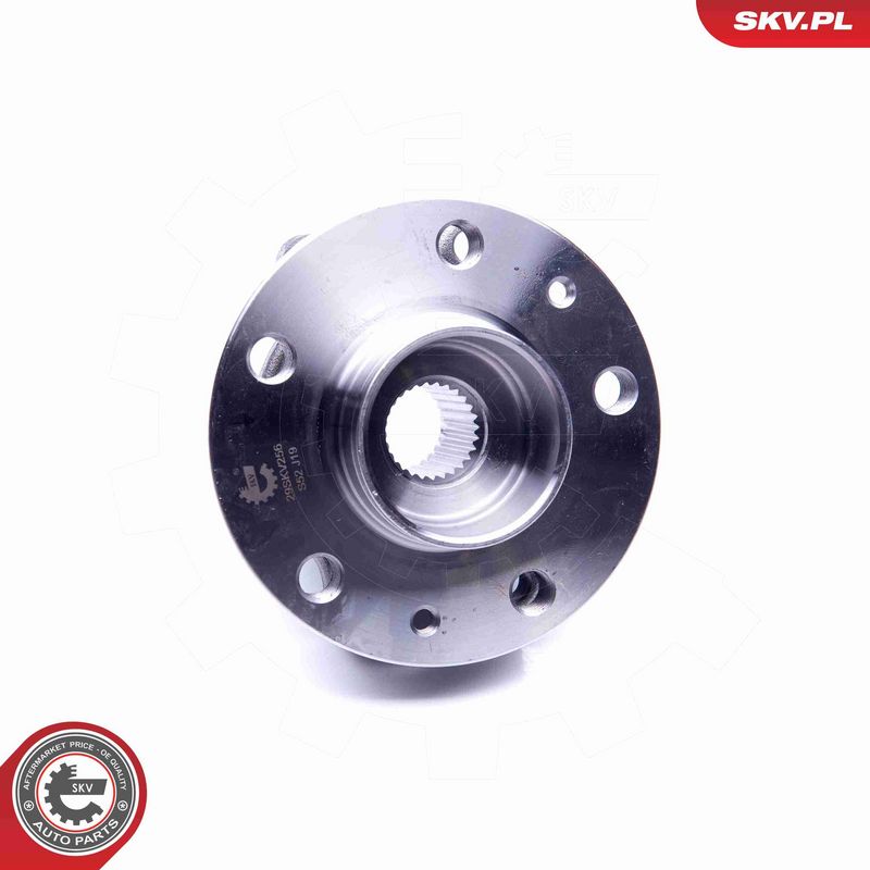 ESEN SKV 29SKV256 Rato guolio komplektas
