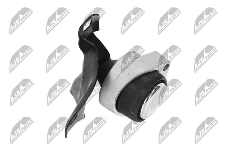 Paigutus, Mootor, NTY ZPS-FR-011