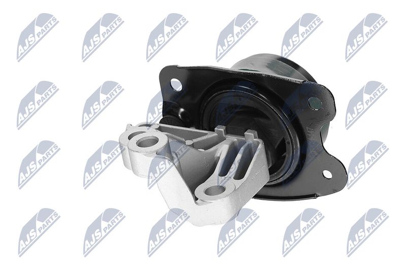 Paigutus, Mootor, NTY ZPS-CH-147