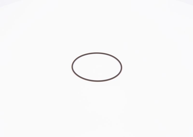 Inel de etansare F 01M 100 371 BOSCH