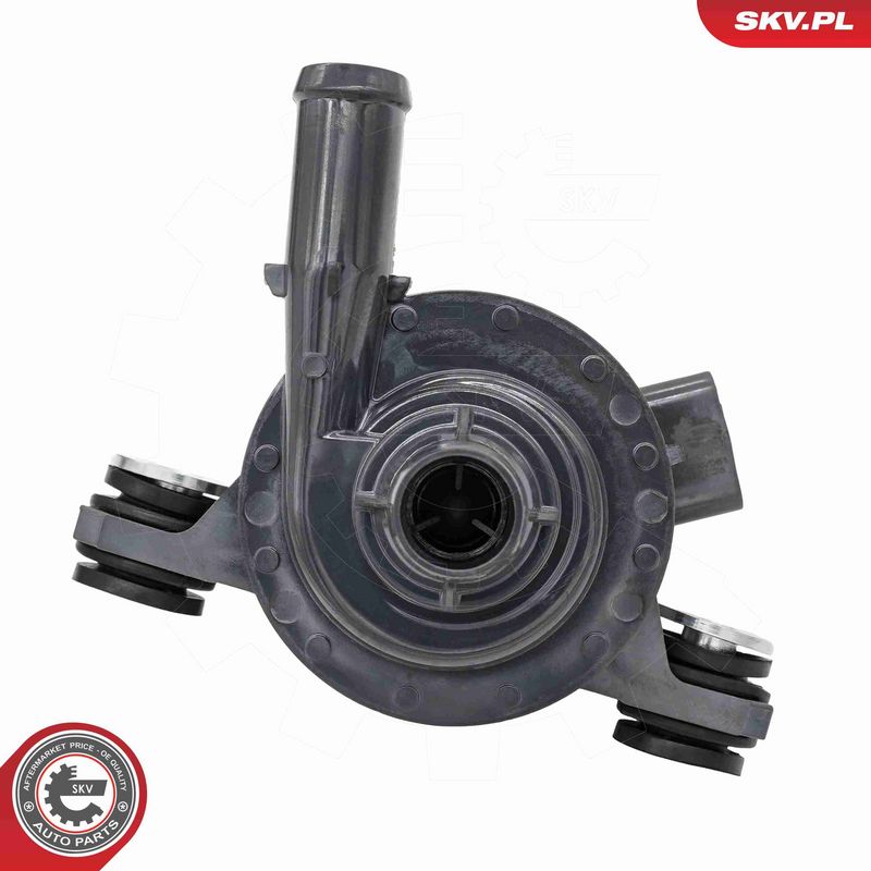 ESEN SKV 22SKV081 Auxiliary Water Pump (cooling water circuit)