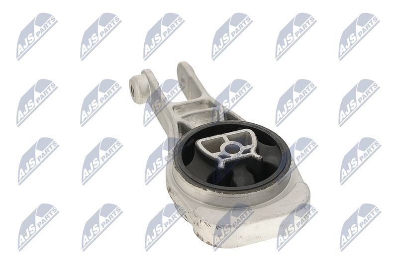 Paigutus, Mootor, NTY ZPS-PL-079