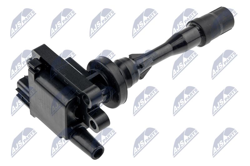 ECZ-MS-023_2-WM.JPG