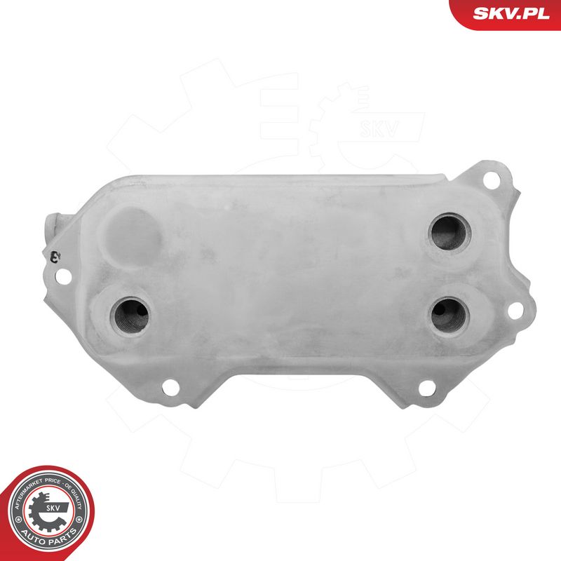 Prekės atitinka OEM kodą: 157100R010