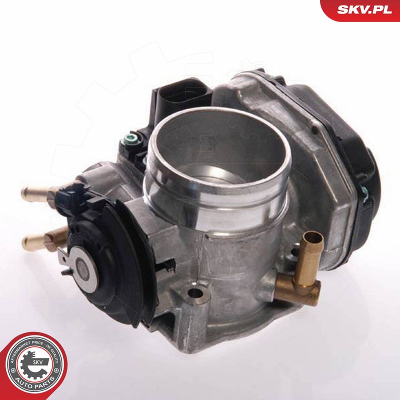 ESEN SKV 12SKV021 Throttle Body