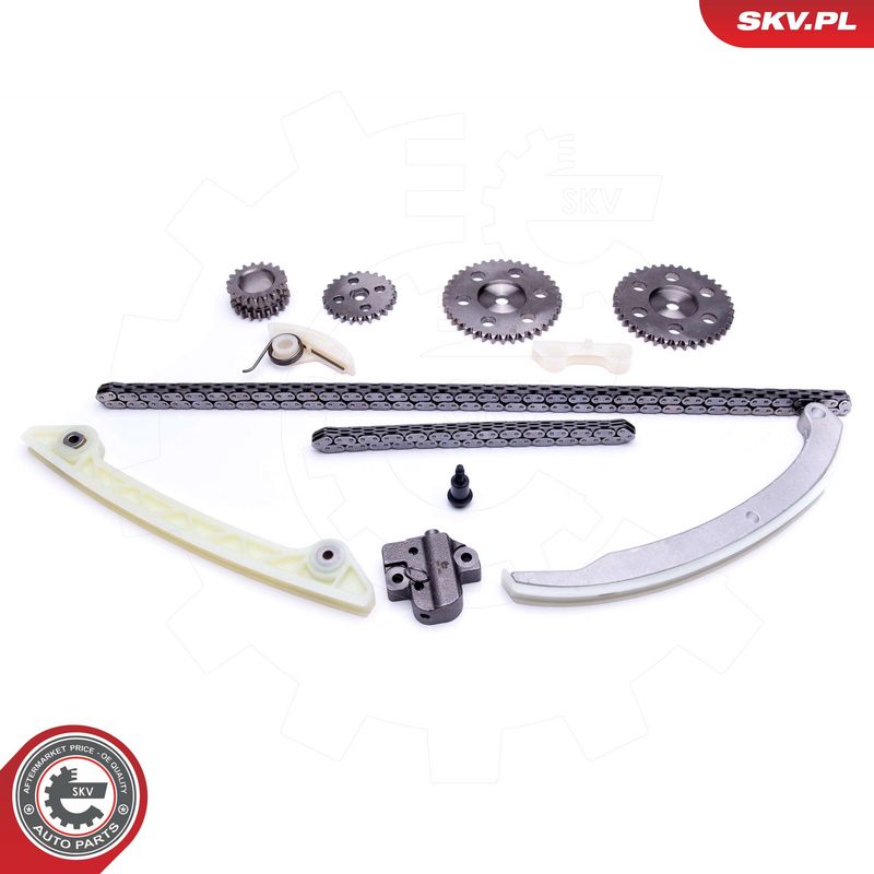 Mootori keti komplekt, ESEN SKV 21SKV231