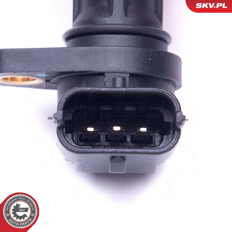 Andur, Nukkvõllipositsioon, ESEN SKV 17SKV499