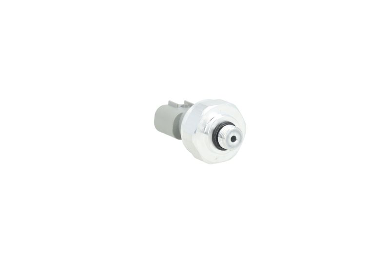 Image 21