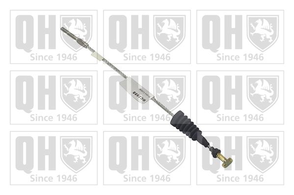 QH_BC2888.JPG