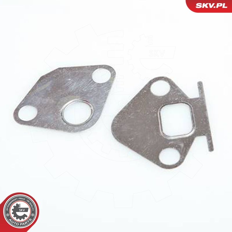 EGR-klapp, ESEN SKV 14SKV029