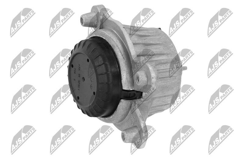 Paigutus, Mootor, NTY ZPS-ME-049