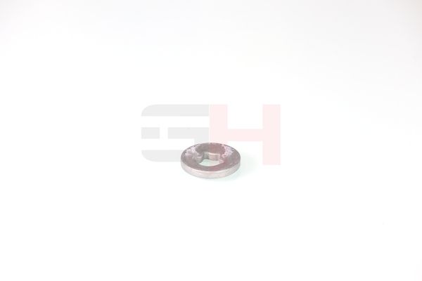 caster shim, sillatala, GH GH-391582