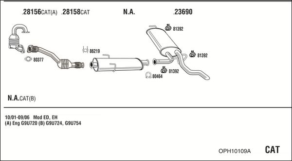 OPH10109A_5235724.JPG