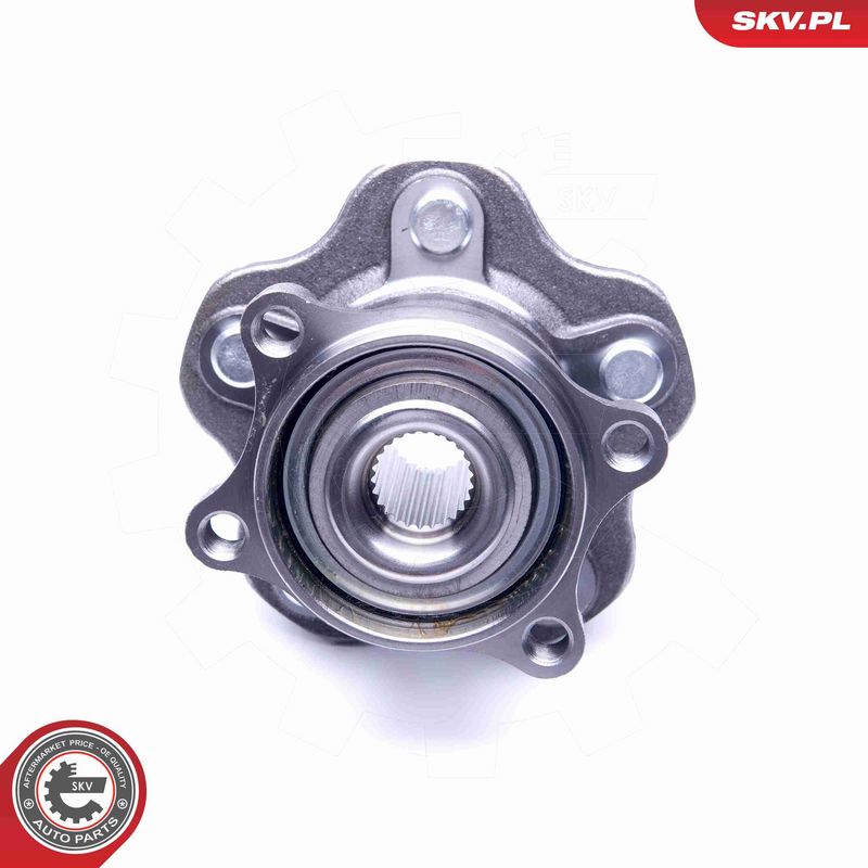 ESEN SKV 29SKV238 Wheel Bearing Kit